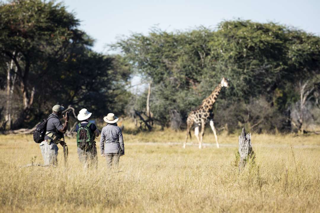 Night Game Drive with Bush Dinner