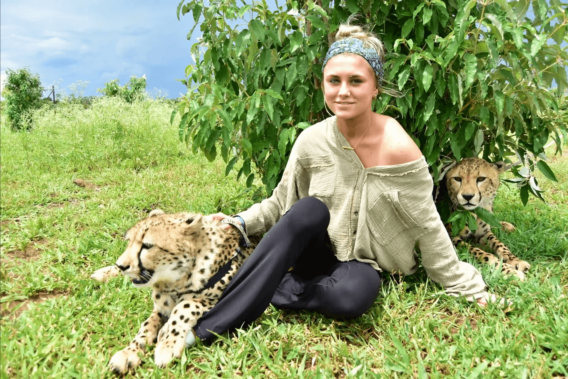 Cheetah Experince