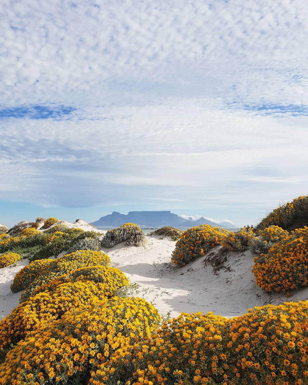 Capetown, South Africa